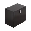 Storage Cabinets*Offices to go 29.5" Laminate Storage Cabinet with 1 Shelf, American Espresso (SL3622SC-AEL)