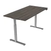 Standing Desks*Offices to go 42"W Workstation Table, Artisan Gray (OTG22BNDAGL)