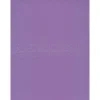 Construction Paper*Pacon Sunworks 9" x 12" Construction Paper, Violet, 50 Sheets/Pack, 5/Pack (68831-PK5)