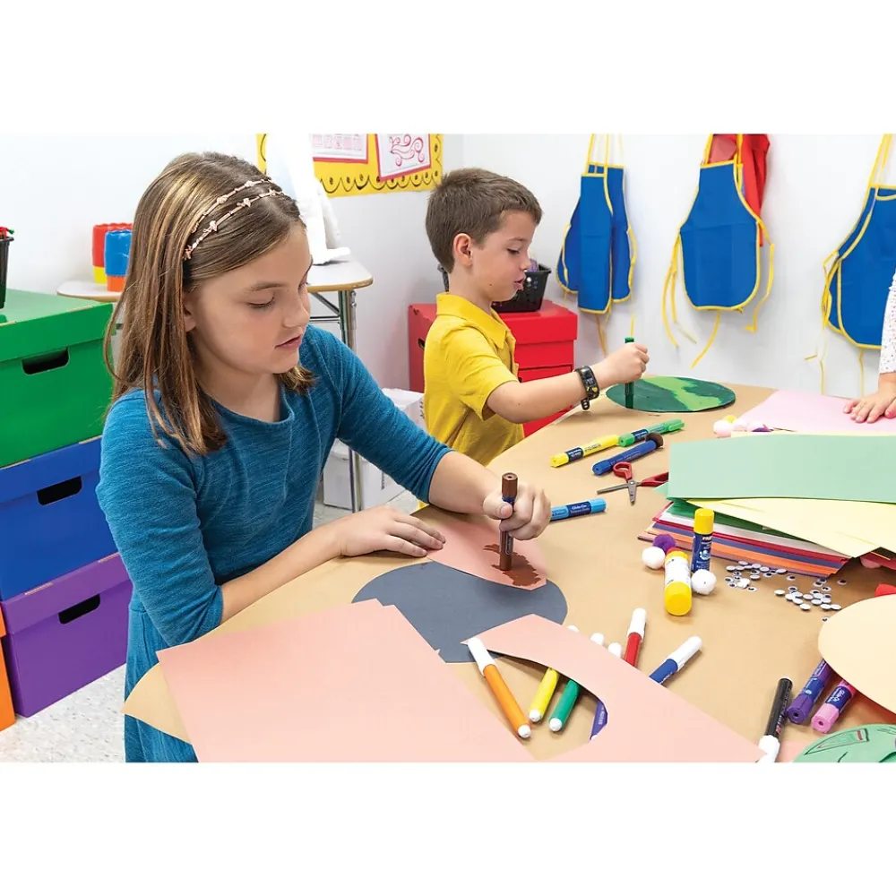 Construction Paper*Prang 9" x 12" Construction Paper, Assorted Colors, 50 Sheets/Pack (P6503-0001)