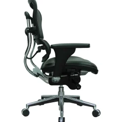 Office Chairs*Eurotech Raynor Mesh/Leather Mid Back Ergo human Chair, Black