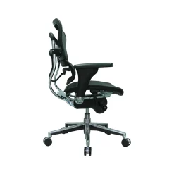 Office Chairs*RAYNOR GROUP Raynor Low Back Mesh Task Chair, Black (ME8ERGLO(N))