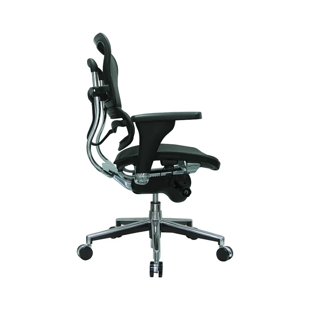 Office Chairs*RAYNOR GROUP Raynor Low Back Mesh Task Chair, Black (ME8ERGLO(N))