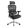 Office Chairs*Raynor Marketing Ergo elite Mesh Task Chair, Black (ME22ERGLT-BLK)