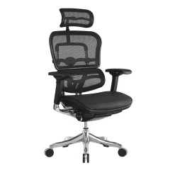 Office Chairs*Raynor Marketing Ergo elite Mesh Task Chair, Black (ME22ERGLT-BLK)