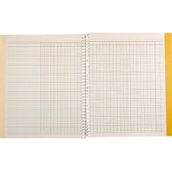 Grade Books*Roaring Spring Paper Products Teacher's Record Roll Books, 8.5