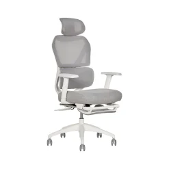 Office Chairs*Sharper Image S-850 Ergonomic Mesh Swivel Computer and Desk Chair, Light Gray/White (60106-LGRYWHT)