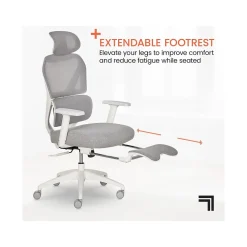 Office Chairs*Sharper Image S-850 Ergonomic Mesh Swivel Computer and Desk Chair, Light Gray/White (60106-LGRYWHT)
