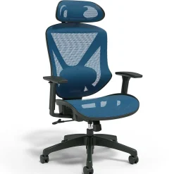 Ergonomic Chairs*Staples ® Dexley Ergonomic Mesh Swivel Task Chair, (UN59375) Blue