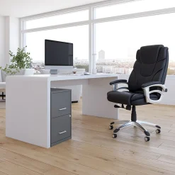 File Cabinets*Staples Light Duty 2-Drawer Mobile Vertical File Cabinet, Letter Size, Lockable, 24.1