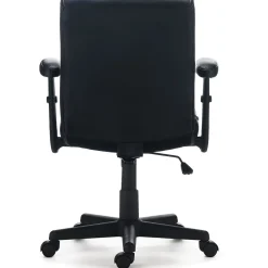 Ergonomic Chairs*Staples Traymore Ergonomic Faux Leather Swivel Computer and Desk Chair, (59425-CC) Black