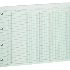 Accounting & Record Journals*Wilson Jones Columnar Ruled Sheets, 10 Columns, 9.25" x 11.8", Green, 100 Sheets/Pack (WG10-10AA)